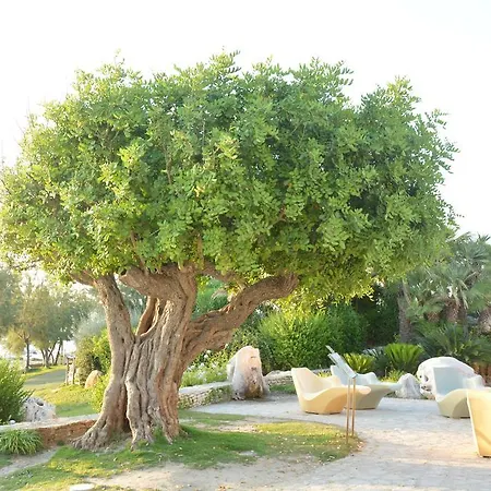 מלון Altis 3*